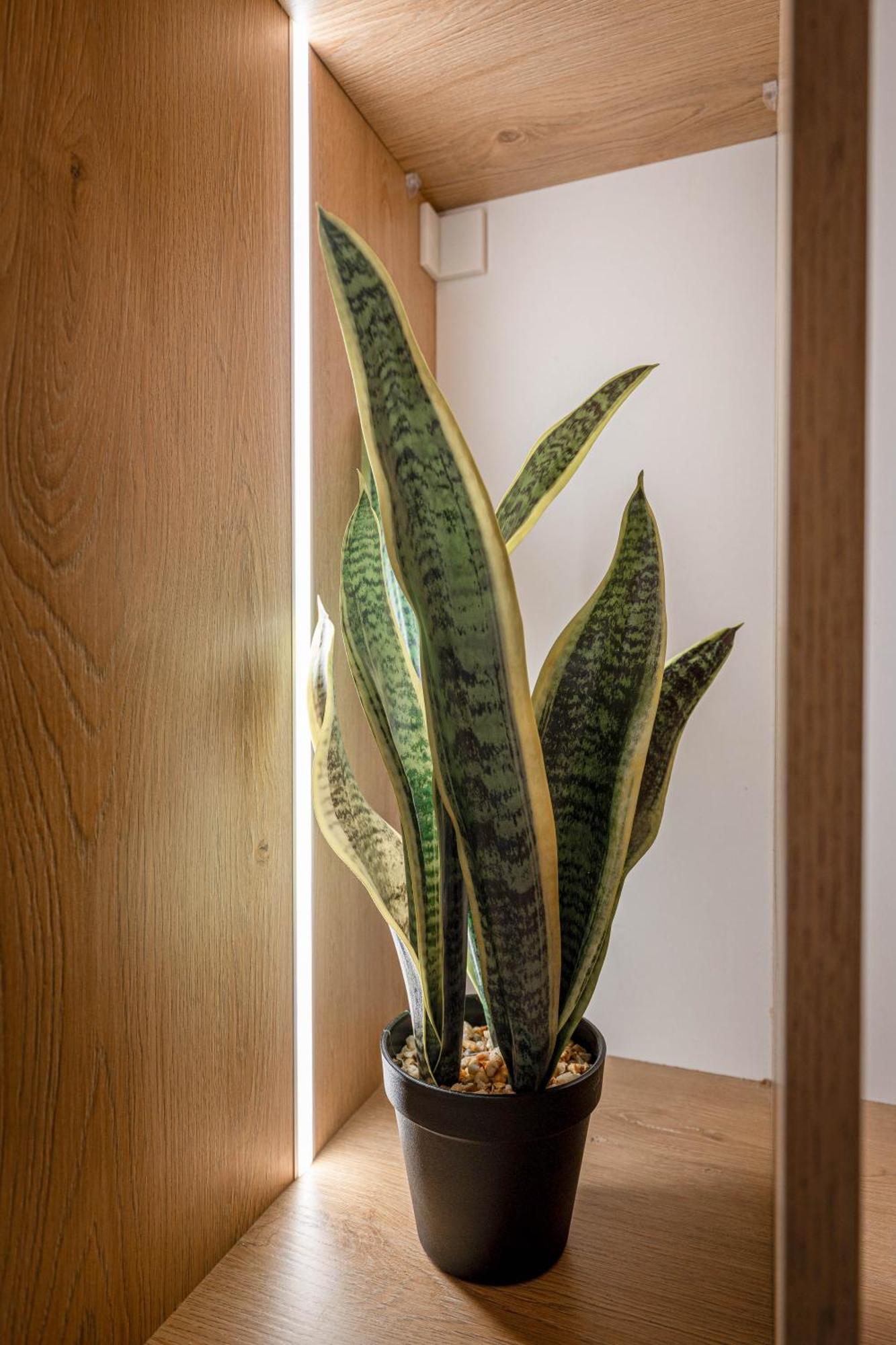 סרנדה Mato Luxury Apartments מראה חיצוני תמונה